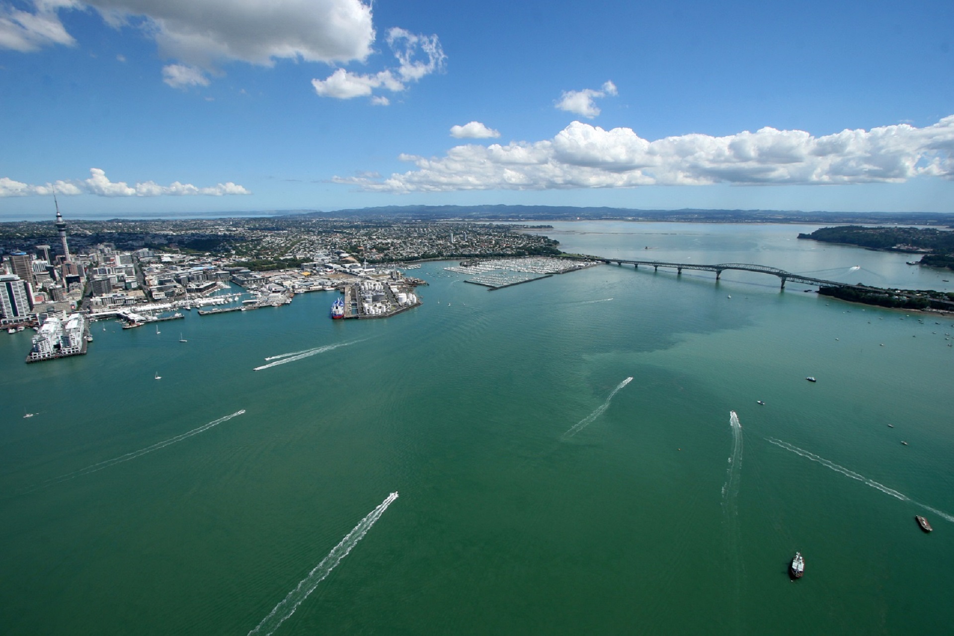 Ways To Protect Auckland's Natural Environment